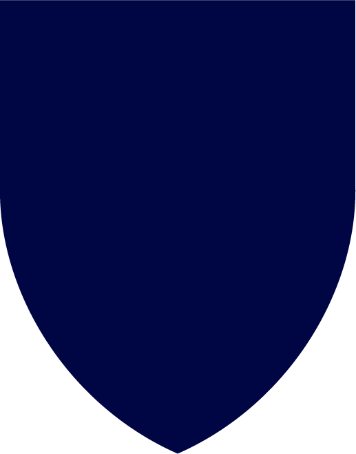 海军蓝盾色板